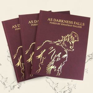 "AS DARKNESS FALLS" Foxes by Jonathan Walker