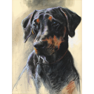 4481C Doberman – Original Pastel - Mick Cawston