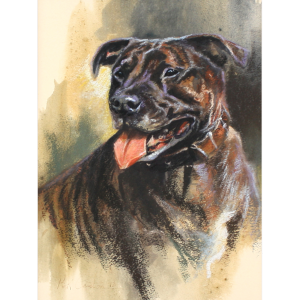 4482C Staffordshire Bull Terrier – Original Pastel - Mick Cawston
