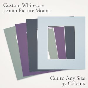 Custom Whitecore 1.4mm Picture Mount
