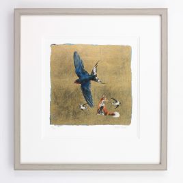 0016S In the Spring Comes the Swallow by Jackie Morris