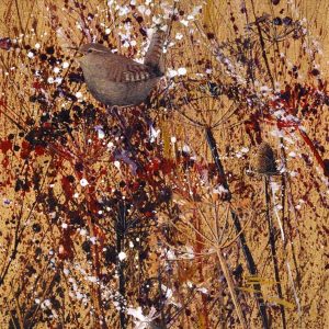 0023S Wren in the Artist's Garden by Paul Evans