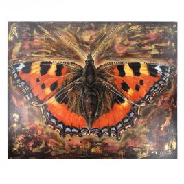 Tortoiseshell by Leigh Banks