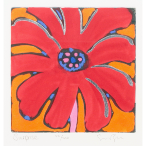 Surprise 44/350 by Simon Bull